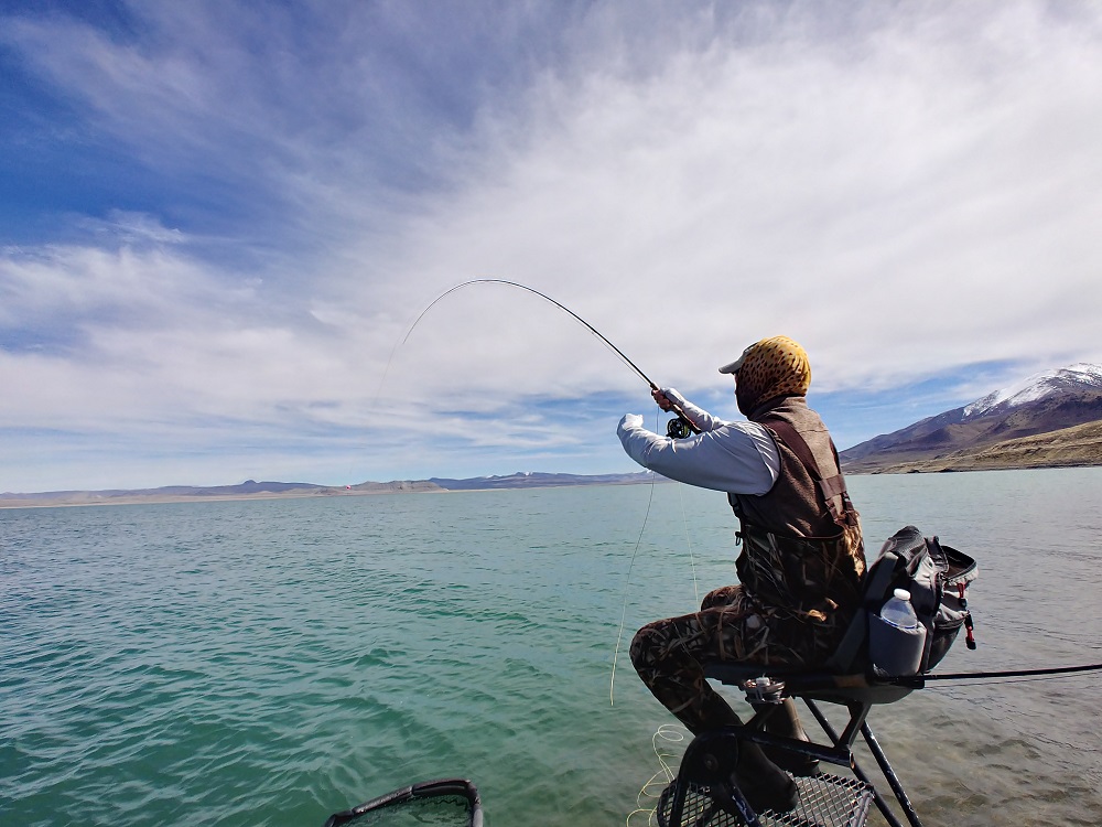 Fishing sales ladder chair